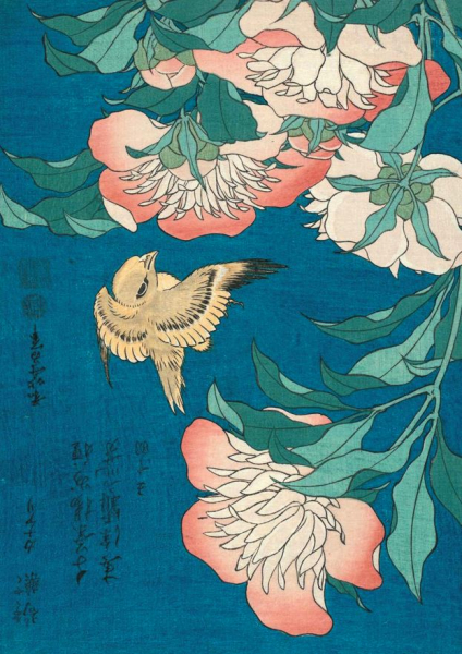 Hokusai, Shakuyaku, kanaari - Postkarte