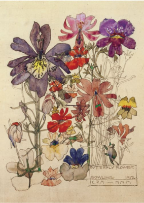 Mackintosh, Japanische Iris - Doppelkarte