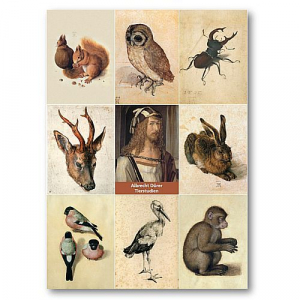Dürer, Tierstudien - Infocard