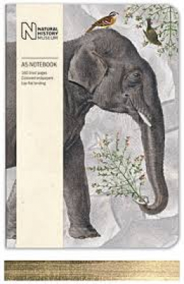 Elephant - Luxus-Notizbuch
