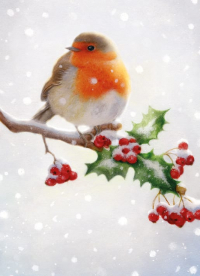 Christmas cards: "Robin"