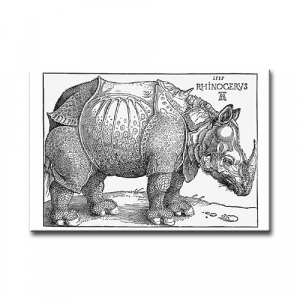 Magnet - Dürer, Rhinocerus