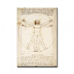 Magnet - da Vinci, Proportionsschema