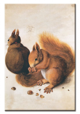 Magnet - Dürer, Eichhörnchen