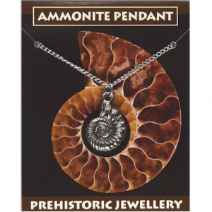 Ammonit-Anhänger, silberfarben