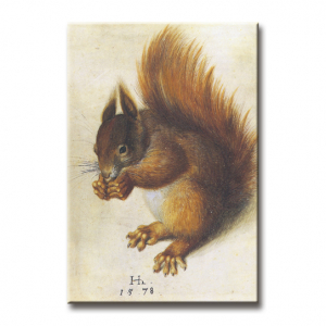 Magnet - Hoffmann, Studie eines Eichhörnchens