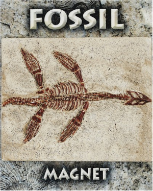 Magnet "Plesiosaurus"